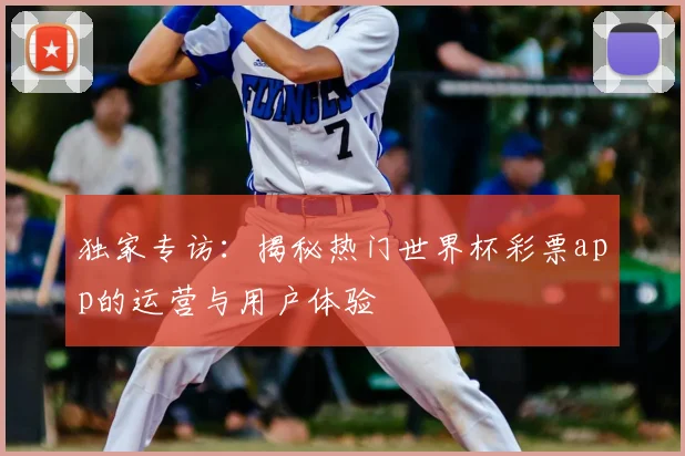 独家专访：揭秘热门世界杯彩票app的运营与用户体验
