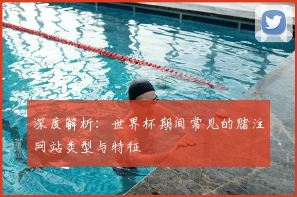 深度解析:世界杯期间常见的赌注网站类型与特征