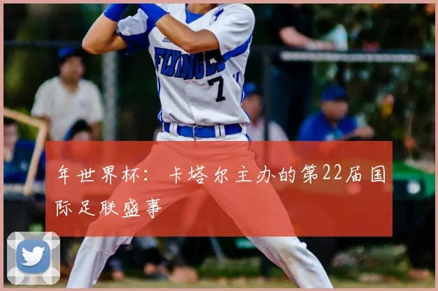 年世界杯：卡塔尔主办的第22届国际足联盛事