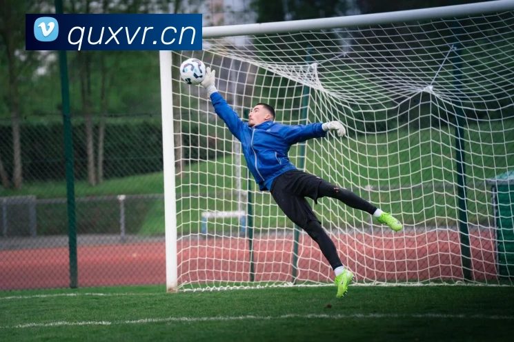 乐鱼在线官网登录入口APP 封面图